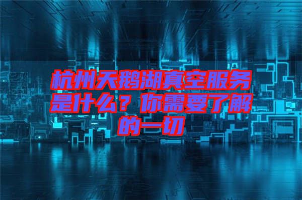 杭州天鵝湖真空服務(wù)是什么？你需要了解的一切