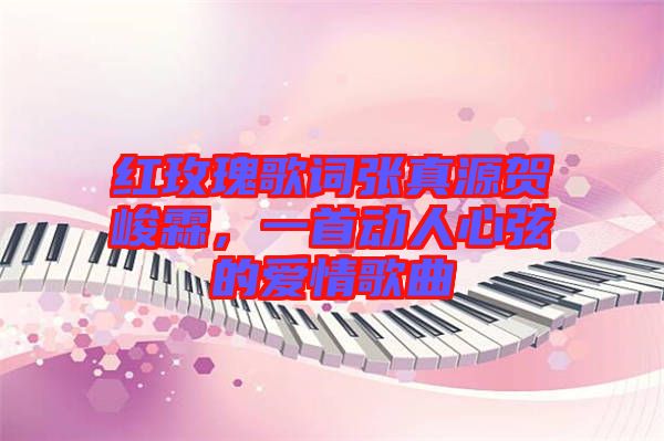紅玫瑰歌詞張真源賀峻霖，一首動(dòng)人心弦的愛(ài)情歌曲