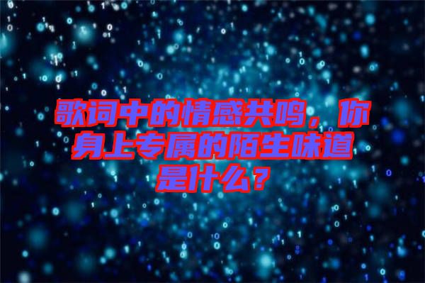 歌詞中的情感共鳴，你身上專屬的陌生味道是什么？