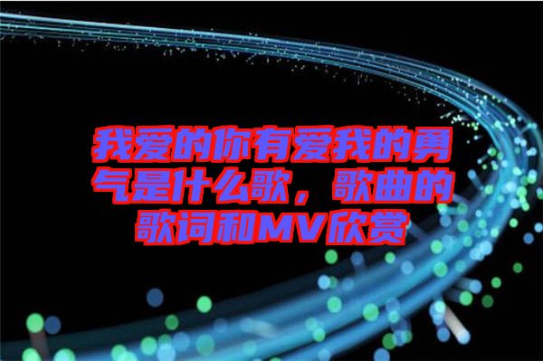 我愛的你有愛我的勇氣是什么歌，歌曲的歌詞和MV欣賞