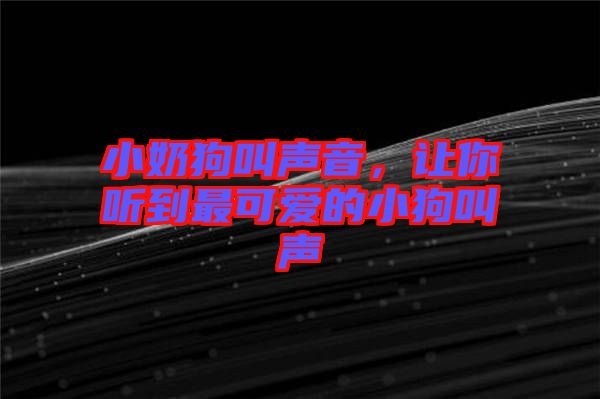 小奶狗叫聲音，讓你聽到最可愛的小狗叫聲