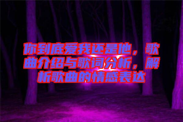 你到底愛我還是他，歌曲介紹與歌詞分析，解析歌曲的情感表達(dá)