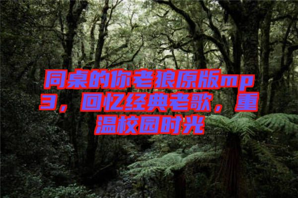 同桌的你老狼原版mp3，回憶經(jīng)典老歌，重溫校園時(shí)光