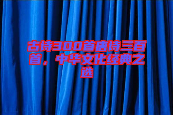 古詩(shī)300首唐詩(shī)三百首，中華文化經(jīng)典之選