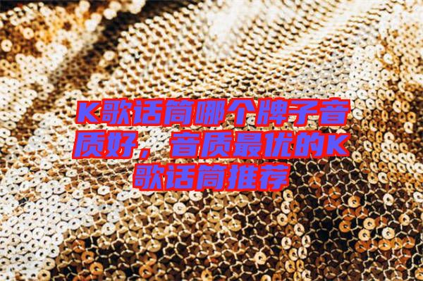 K歌話筒哪個牌子音質(zhì)好，音質(zhì)最優(yōu)的K歌話筒推薦