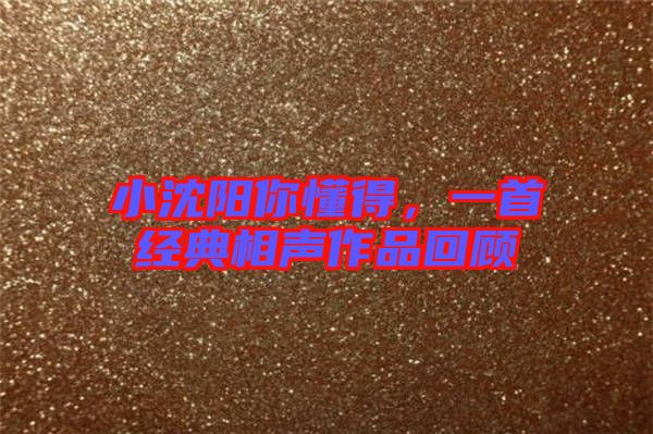 小沈陽你懂得，一首經(jīng)典相聲作品回顧