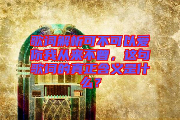 歌詞解析可不可以愛(ài)你我從來(lái)不曾，這句歌詞的真正含義是什么？