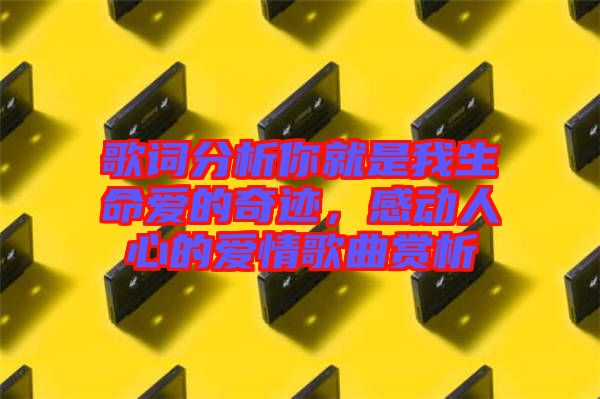 歌詞分析你就是我生命愛的奇跡，感動人心的愛情歌曲賞析