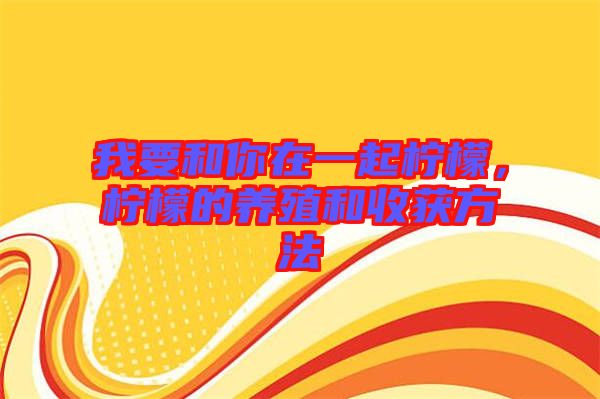 我要和你在一起檸檬，檸檬的養(yǎng)殖和收獲方法