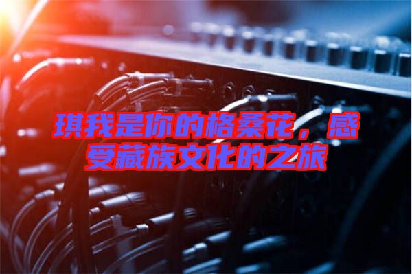 琪我是你的格?；?，感受藏族文化的之旅
