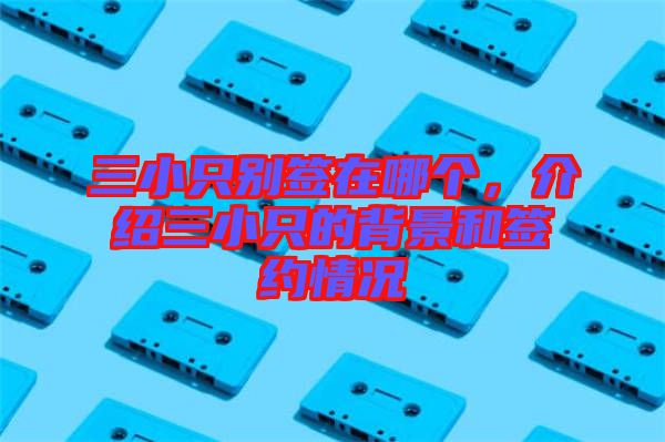三小只別簽在哪個，介紹三小只的背景和簽約情況