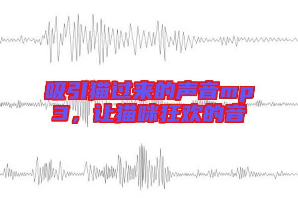 吸引貓過來的聲音mp3，讓貓咪狂歡的音