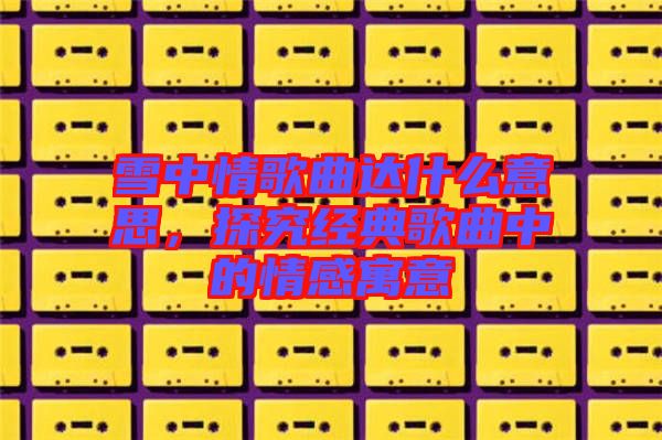 雪中情歌曲達(dá)什么意思，探究經(jīng)典歌曲中的情感寓意