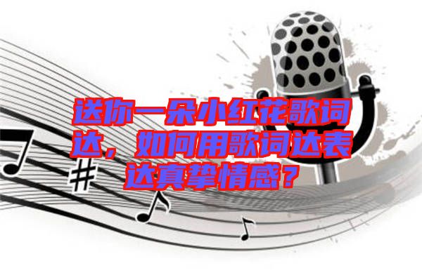 送你一朵小紅花歌詞達(dá)，如何用歌詞達(dá)表達(dá)真摯情感？