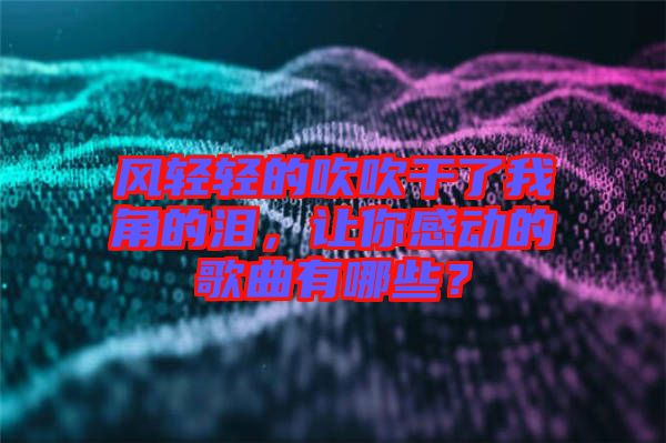 風(fēng)輕輕的吹吹干了我角的淚，讓你感動(dòng)的歌曲有哪些？