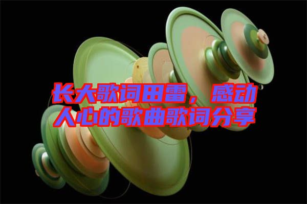 長(zhǎng)大歌詞田雷，感動(dòng)人心的歌曲歌詞分享
