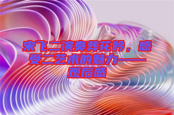 宋飛二演奏葬花吟，感受二藝術(shù)的魅力——觀后感