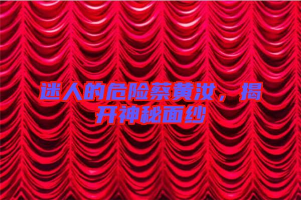 迷人的危險(xiǎn)蔡黃汝，揭開神秘面紗