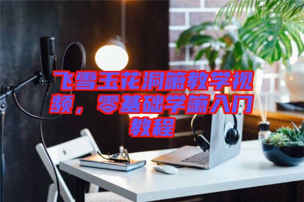 飛雪玉花洞簫教學(xué)視頻，零基礎(chǔ)學(xué)簫入門教程