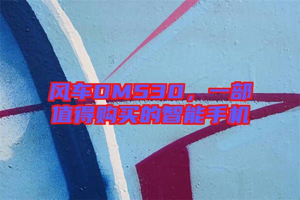 風(fēng)車DM530，一部值得購買的智能手機(jī)
