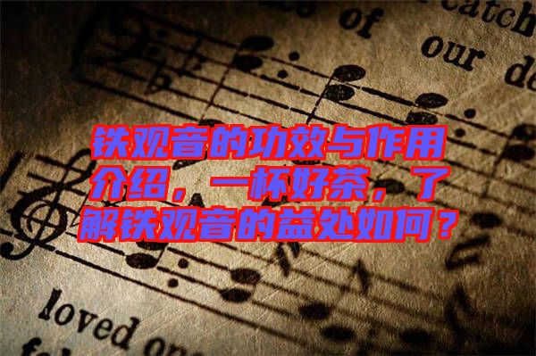 鐵觀音的功效與作用介紹，一杯好茶，了解鐵觀音的益處如何？