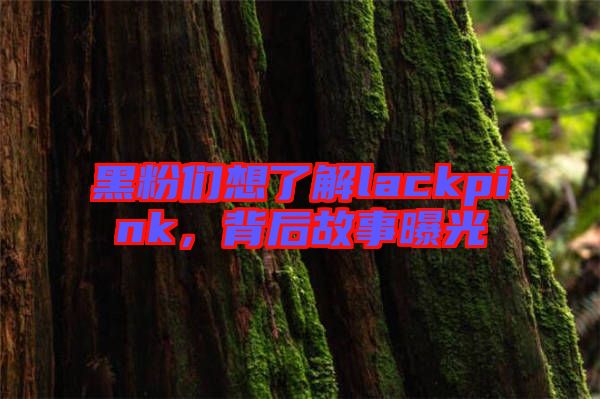 黑粉們想了解lackpink，背后故事曝光