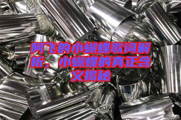 阿飛的小蝴蝶歌詞解析，小蝴蝶的真正含義揭秘