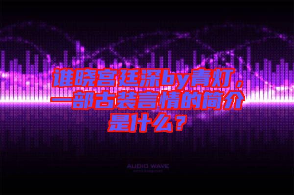 誰曉宮廷深by青燈，一部古裝言情的簡介是什么？