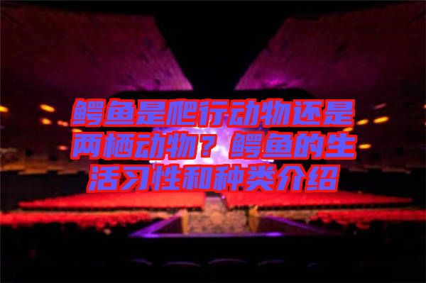 鱷魚是爬行動(dòng)物還是兩棲動(dòng)物？鱷魚的生活習(xí)性和種類介紹