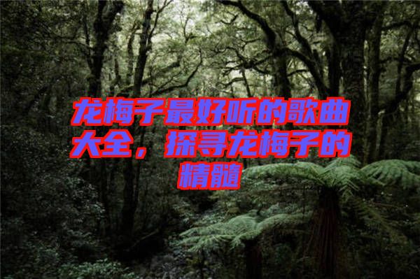 龍梅子最好聽的歌曲大全，探尋龍梅子的精髓