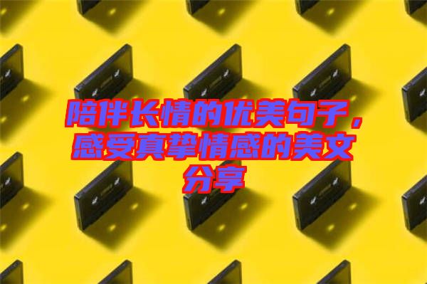 陪伴長情的優(yōu)美句子，感受真摯情感的美文分享