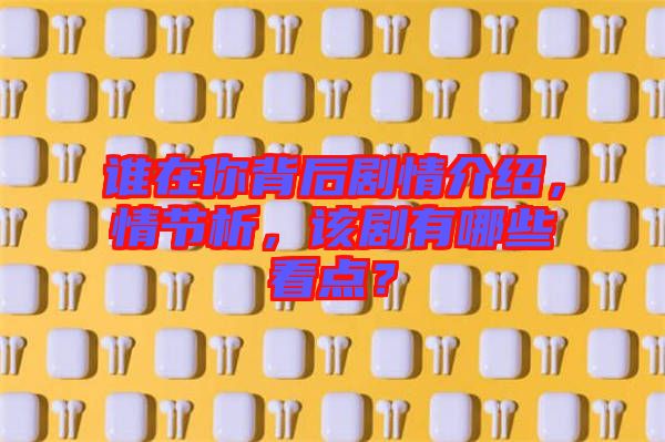 誰在你背后劇情介紹，情節(jié)析，該劇有哪些看點(diǎn)？