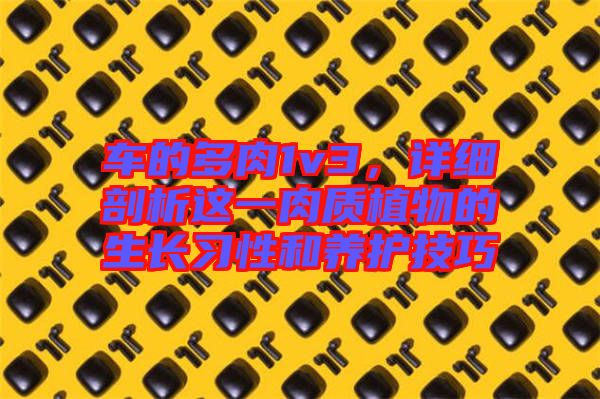 車的多肉1v3，詳細(xì)剖析這一肉質(zhì)植物的生長習(xí)性和養(yǎng)護(hù)技巧