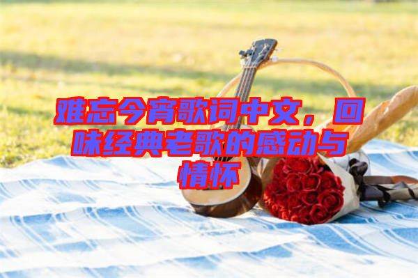 難忘今宵歌詞中文，回味經(jīng)典老歌的感動(dòng)與情懷
