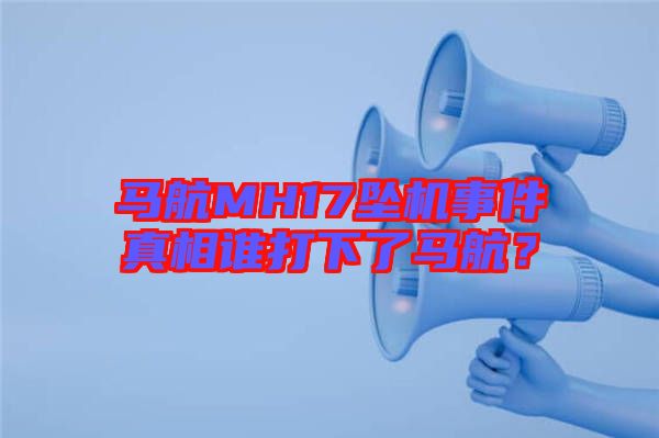 馬航MH17墜機事件真相誰打下了馬航？