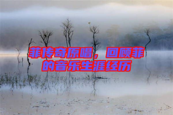菲傳奇原唱，回顧菲的音樂生涯經(jīng)歷