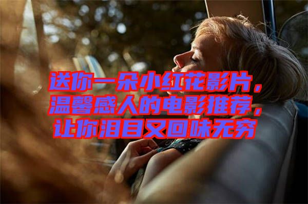 送你一朵小紅花影片，溫馨感人的電影推薦，讓你淚目又回味無窮