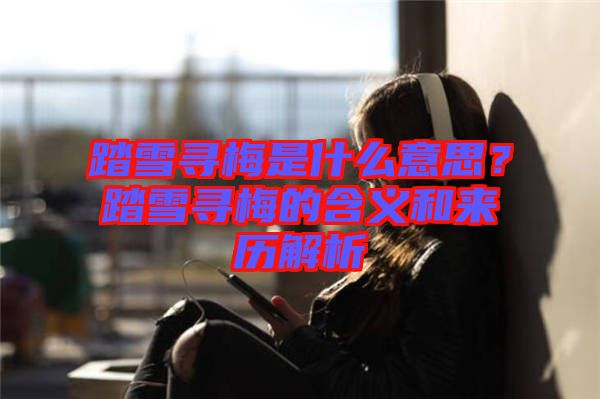 踏雪尋梅是什么意思？踏雪尋梅的含義和來歷解析