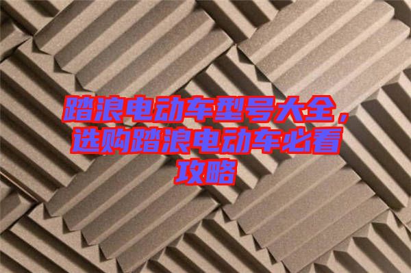踏浪電動車型號大全，選購踏浪電動車必看攻略