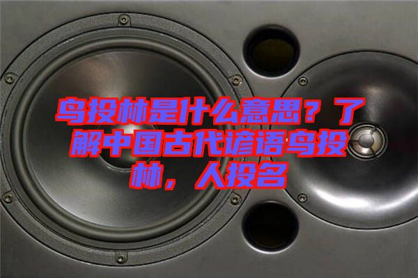 鳥投林是什么意思？了解中國(guó)古代諺語鳥投林，人投名