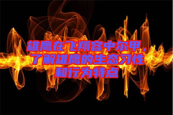 雄鷹在飛翔容中爾甲，了解雄鷹的生態(tài)習性和行為特點