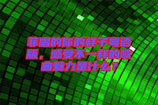 菲唱的你的樣子粵語版，感受不一樣的歌曲魅力是什么？