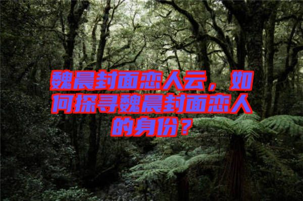 魏晨封面戀人云，如何探尋魏晨封面戀人的身份？