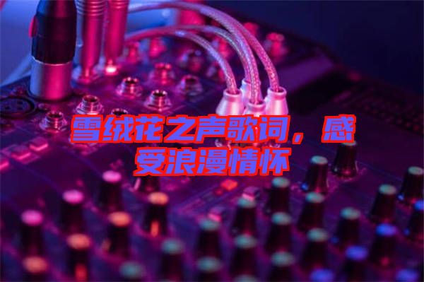 雪絨花之聲歌詞，感受浪漫情懷