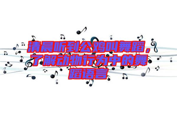 清晨聽到公雞叫舞蹈，了解動(dòng)物行為中的舞蹈語(yǔ)言
