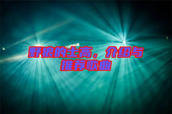 野狼的士高，介紹與推薦歌曲