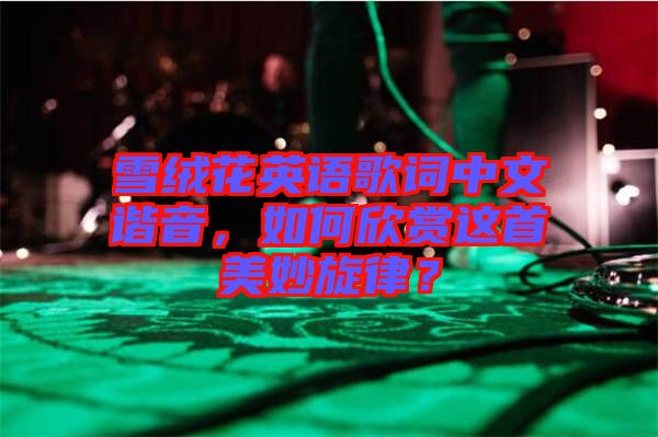 雪絨花英語歌詞中文諧音，如何欣賞這首美妙旋律？