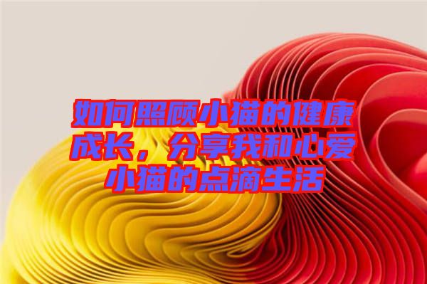 如何照顧小貓的健康成長，分享我和心愛小貓的點(diǎn)滴生活
