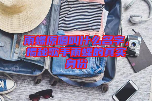 雨蝶原唱叫什么名字，揭秘歌手雨蝶的真實(shí)身份
