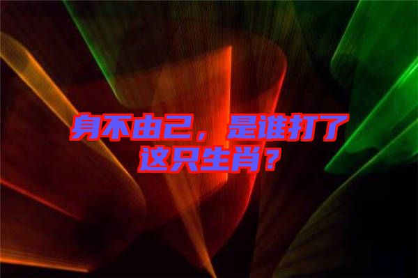 身不由己，是誰打了這只生肖？